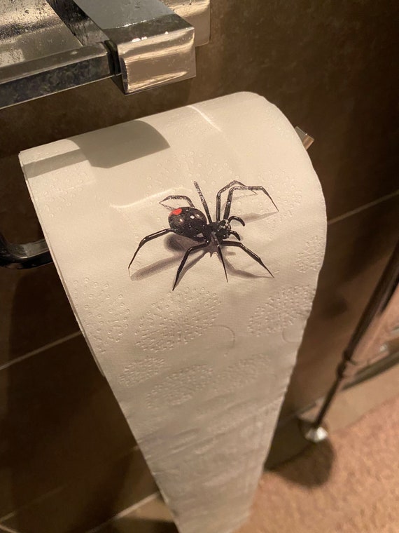 Toilet Paper Spider