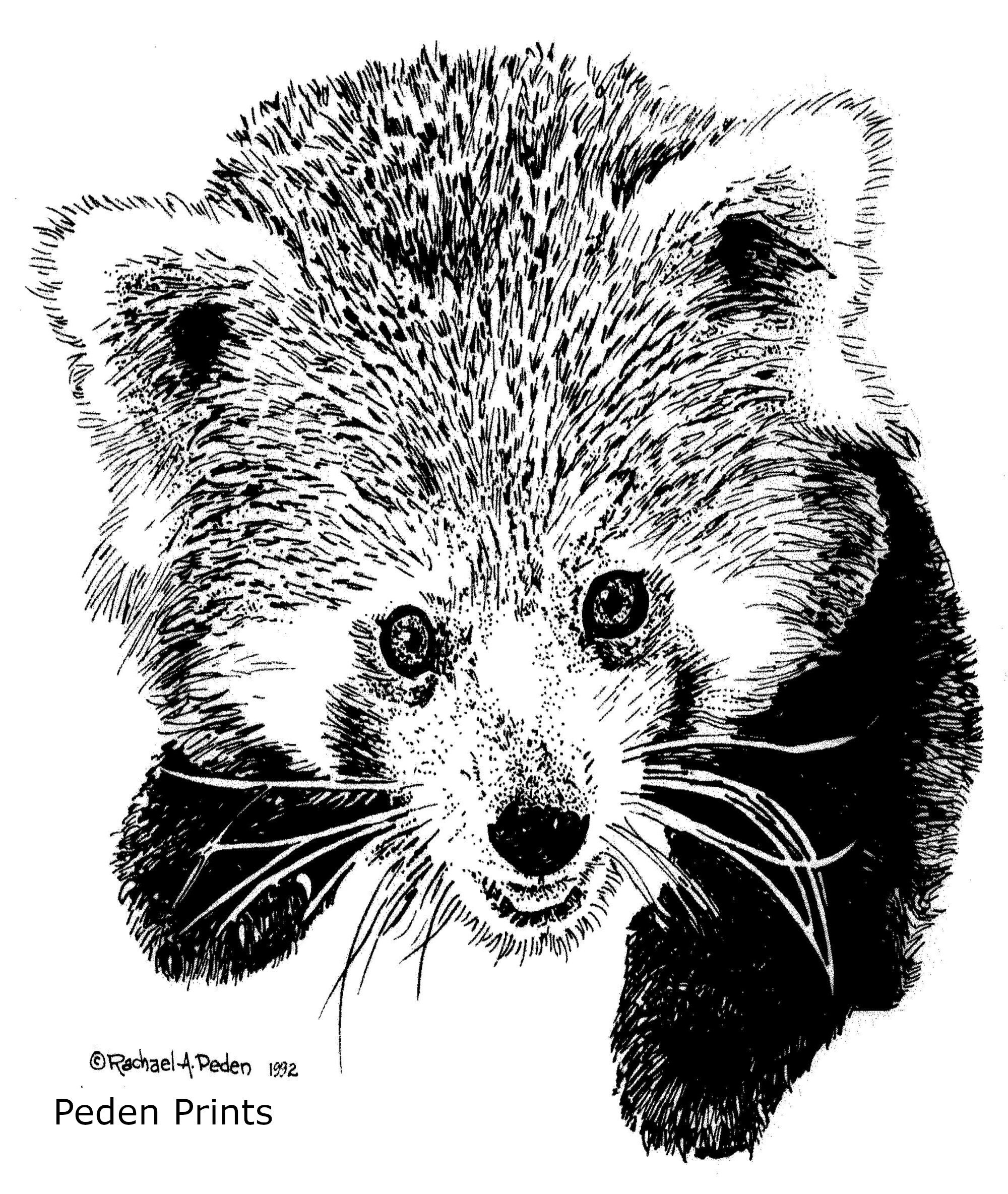 Red Panda Wall Art Download | Etsy