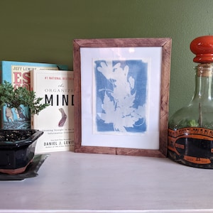 Maple leaf and seeds cyanotype
