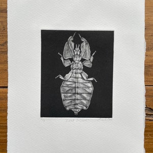 May include: A detailed black and white print of a leaf insect on a black background, set against a white, textured paper. The print is signed and numbered, with the words "Leaf Insect" visible.