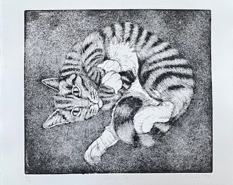 Tabby cat etching
