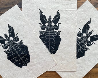 Leaf insect linocut print / insect art