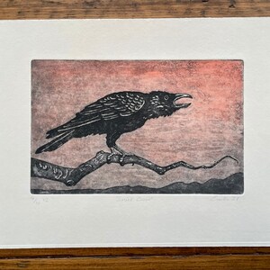 May include: A black crow with its beak open is perched on a branch against a pink and grey background. The print is titled "Screech Crow" and is numbered 12/20.