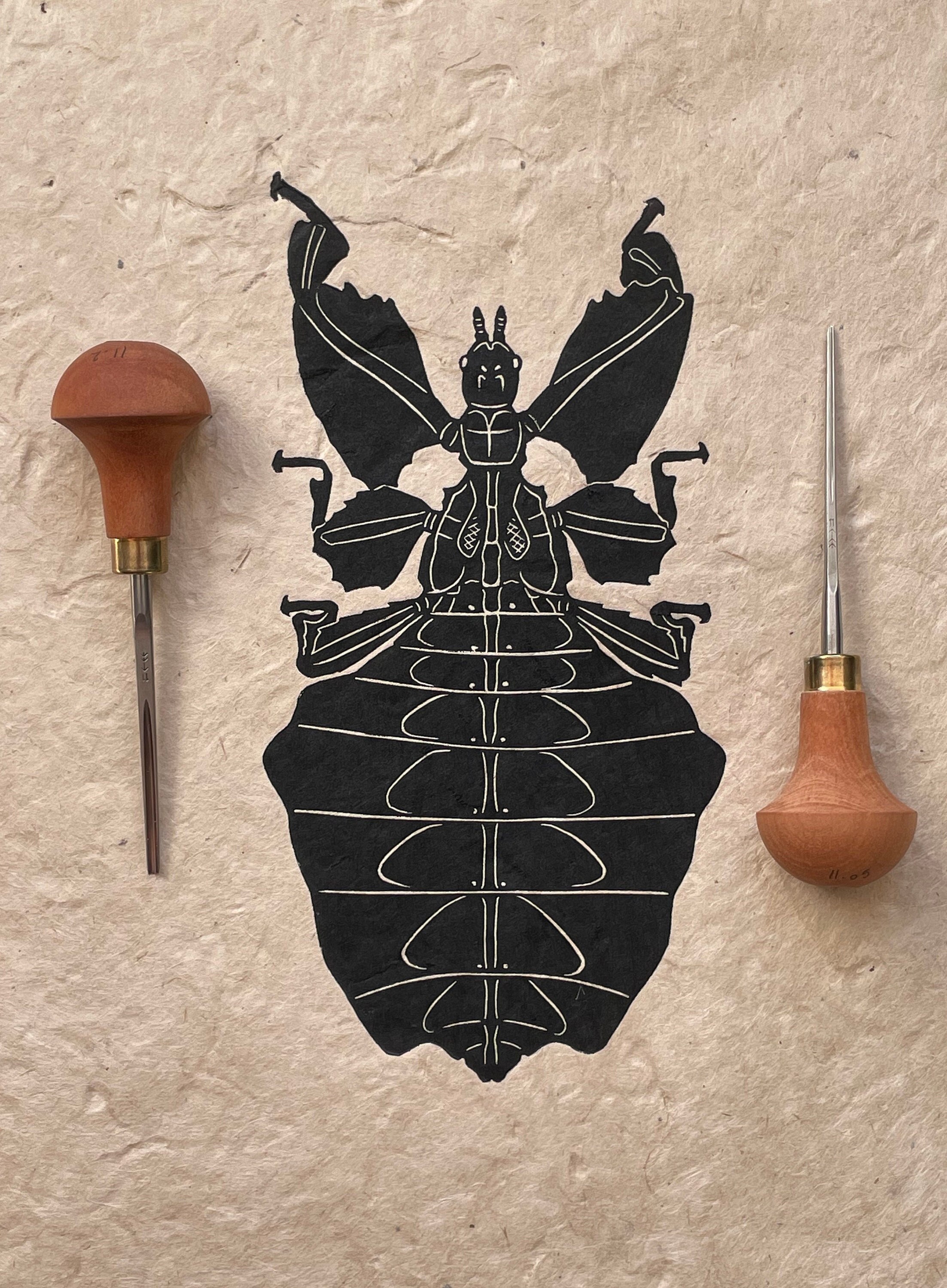 Insect Linocut Leaf Insect Linocut Print / Insect Art - Etsy