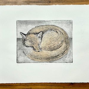 May include: A black and white etching of a fox curled up asleep. The fox is in a circular shape with its tail wrapped around its body. The etching is on a white background with the title "Fox Curl" and the artist's name and year.