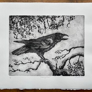 May include: A black and white etching of a crow perched on a branch. The crow is facing right and has its beak open. The background is a tree with leaves.