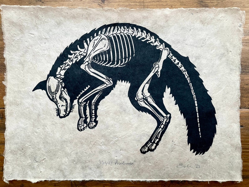 Fox Anatomy Linocut Print - Etsy