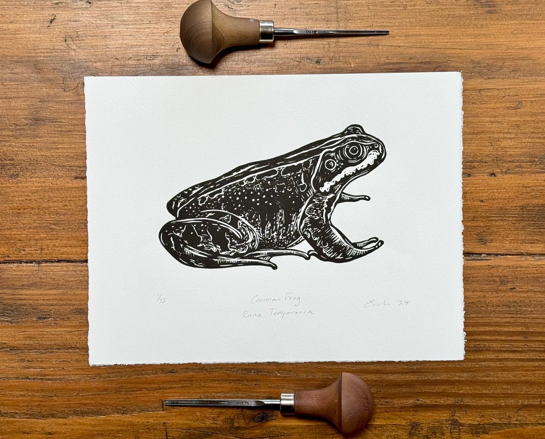 Common Frog Linocut Print Etsy
