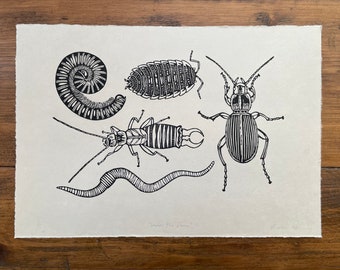 Under the Stone - linocut print of various bugs