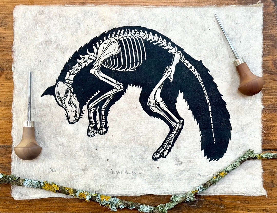 Fox Anatomy Linocut Print - Etsy