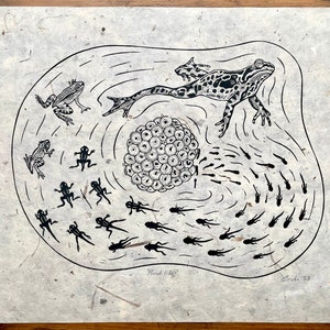 May include: Black and white linocut print of a frog in a pond with tadpoles and eggs. The print is titled "Pond Life" and signed "Erol 23".