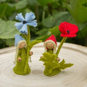 Patrón PDF Amapola y Aciano Holandés y Alemán