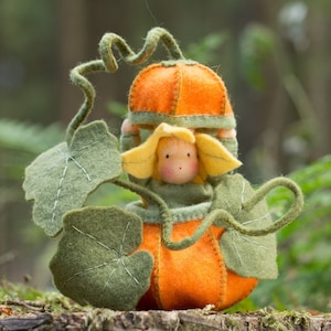 May include: A felt doll wearing a pumpkin hat and sitting inside a felt pumpkin. The doll has yellow hair, a green dress, and a sweet face. The pumpkin is orange with green leaves.