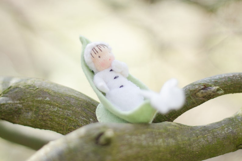 Repollo blanco y oruga niños patrón PDF holandés y alemán imagen 3