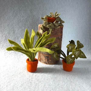 Op de afbeelding: Drie gevilte potplanten, één met lange groene bladeren, één met ronde groene bladeren en één met een kleine groene plant in een bruine pot. De planten staan op een wit oppervlak.