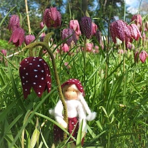 May include: A small, white felt doll with a red hat and red skirt stands in a field of pink and white checkered flowers. The flowers are tall and slender, with a bell-shaped bloom.