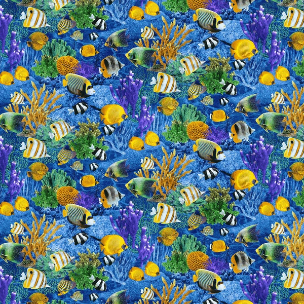 Shark Attack Tropical Fish Blue and Yellow Fabric by the  HALF Yard, Northcott Fabric