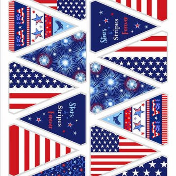 Stars & Stripes Forever, Pennant Panel, Flags and Fireworks Fabric, Studio E, 5835P