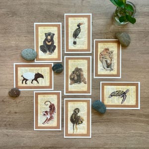 Juego de 8 postales de animales en peligro de extinción de Malasia / Postales ilustradas / Objetos de colección / Tarjetas de felicitación / Recuerdos / Tamaño A6