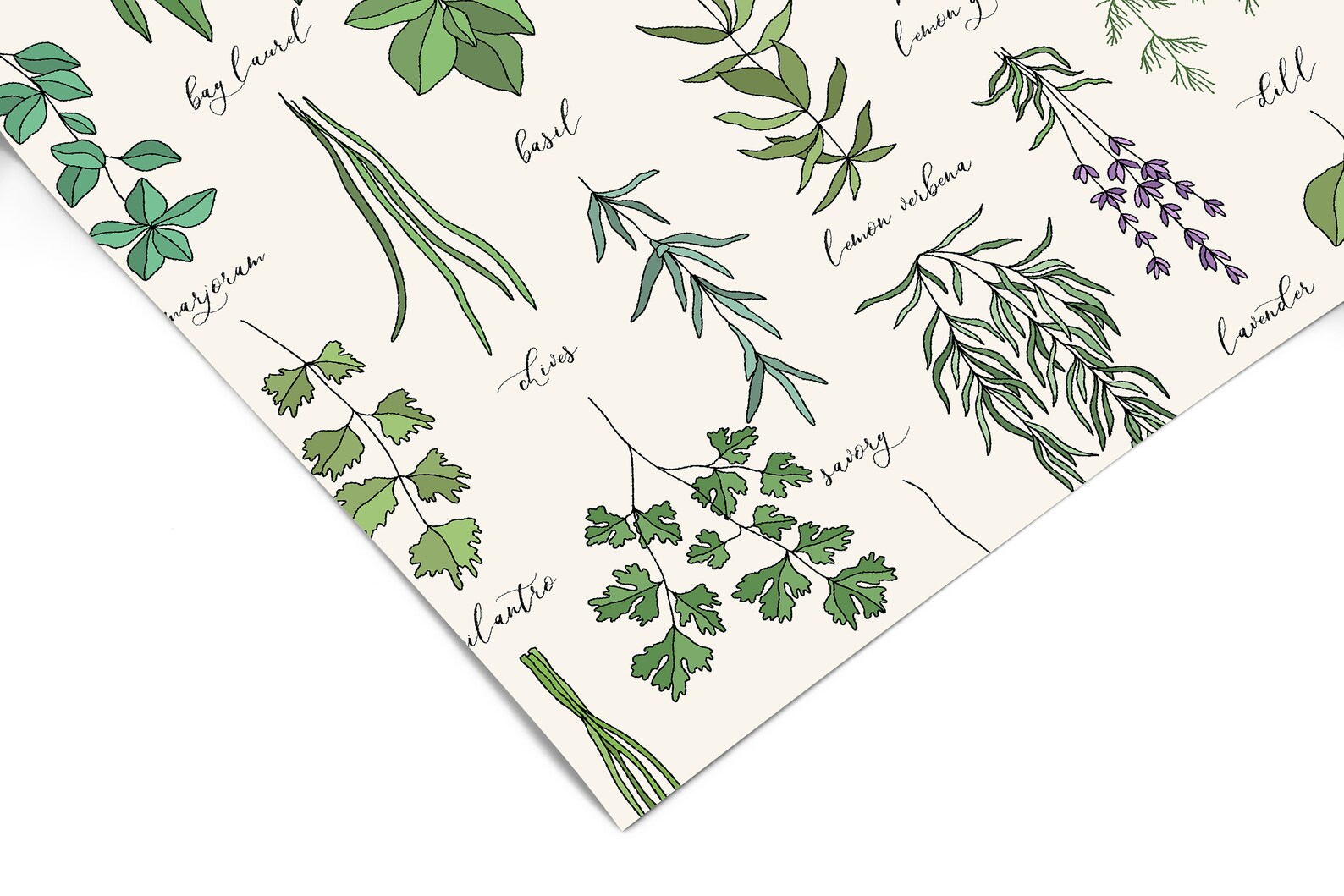 Herbs Floral Contact Paper Peel and Stick Wallpaper Etsy