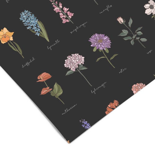 Olive and Cream Contact Paper Peel and Stick Wallpaper Etsy