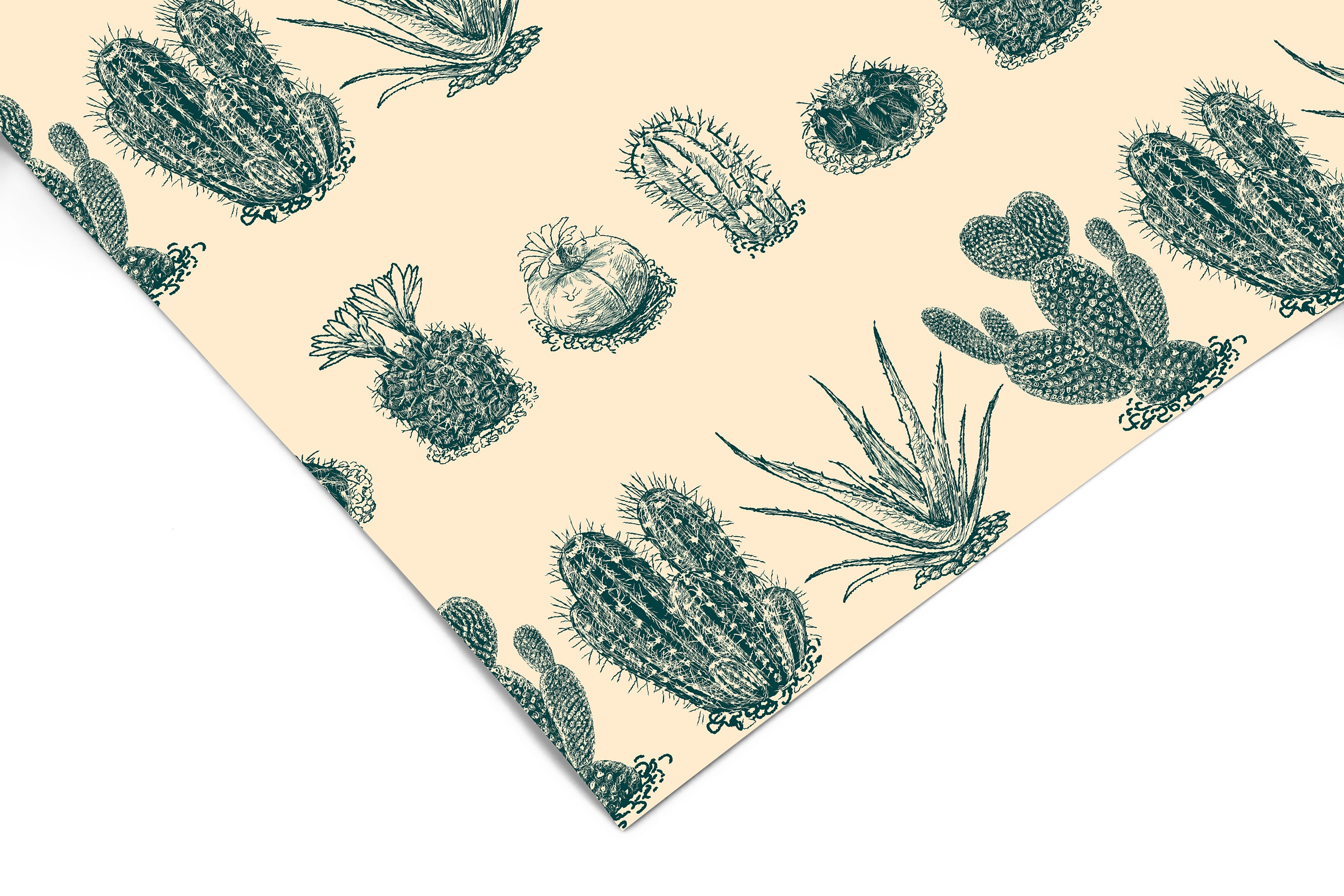 Desert Gold Cactus Contact Paper, Peel And Stick Wallpaper, Removable  Wallpaper, Shelf Liner, Drawer Liner