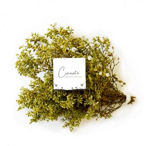 Creosote Shower Bouquet
