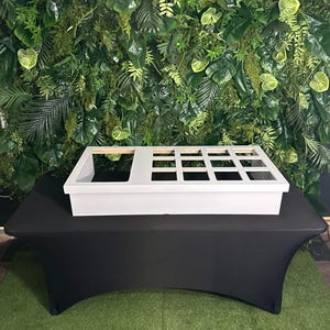 May include: A white rectangular display box with a grid pattern on top, set on a black table. The background features a lush green wall of various plants and foliage, creating a natural backdrop for product presentation.