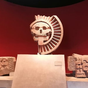 Op de afbeelding: Een stenen sculptuur van een schedel met een waaiervormig ontwerp erachter. Het beeld staat op een voetstuk in een museum.