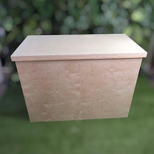 May include: A light-colored wooden box with a flat top and angled sides. The box is made of plywood and has a natural wood grain finish. The box is likely used for storage or display.