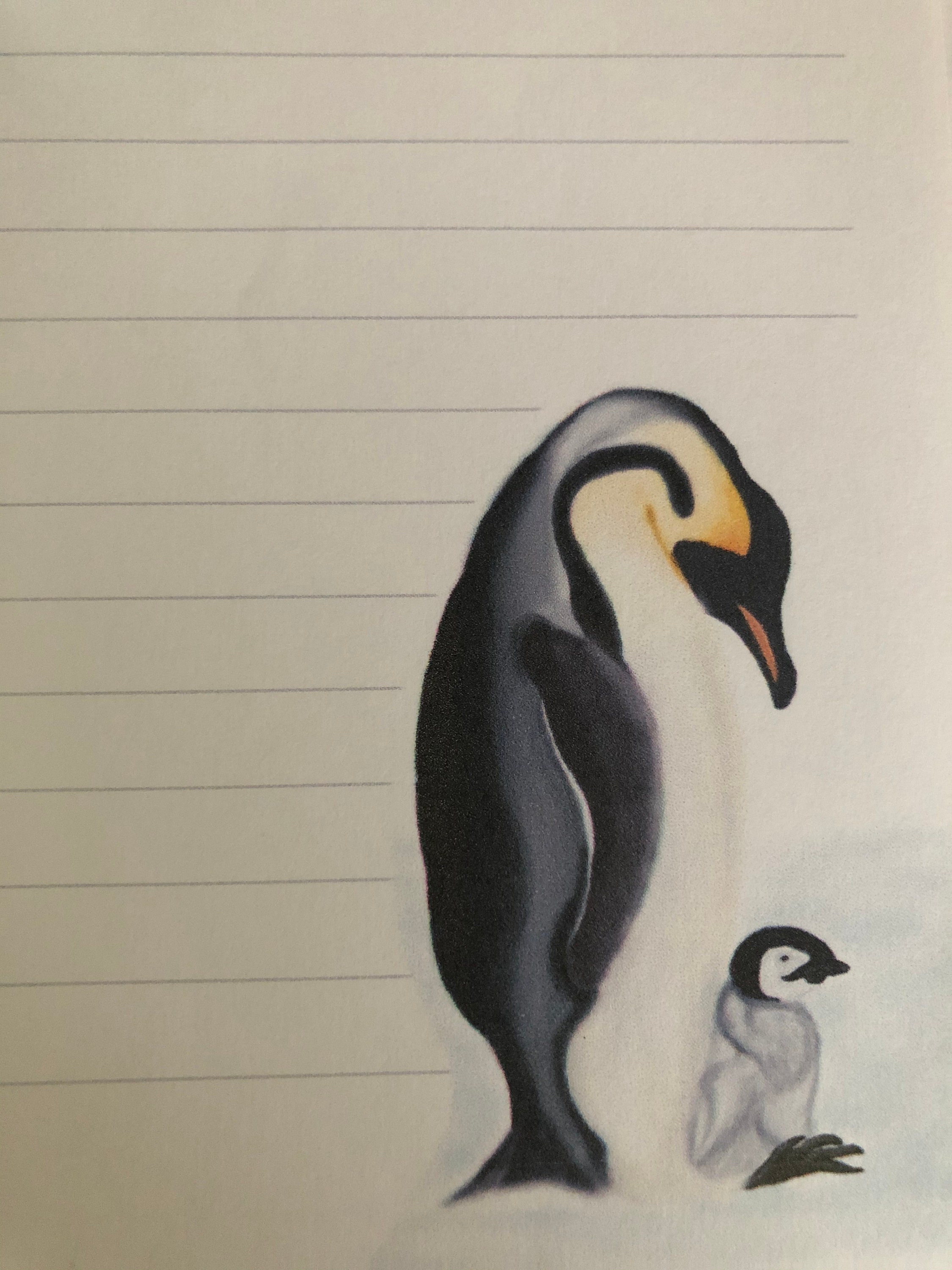 Have a penguin write a letter picture