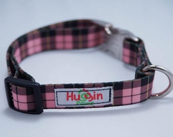 Collar - Metal Buckle
