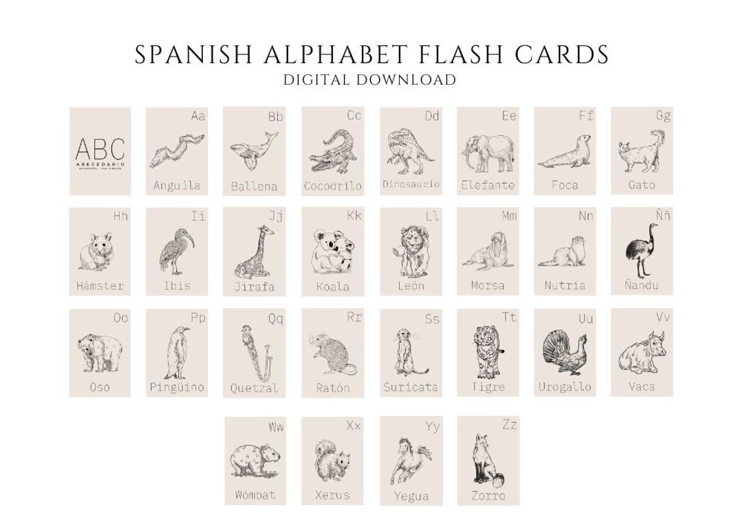 Spanish Alphabet Flash Cards, Letter Learning, Homeschool Learning