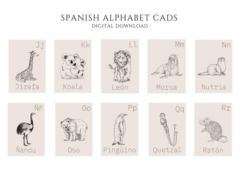 Spanish Alphabet Flash Cards