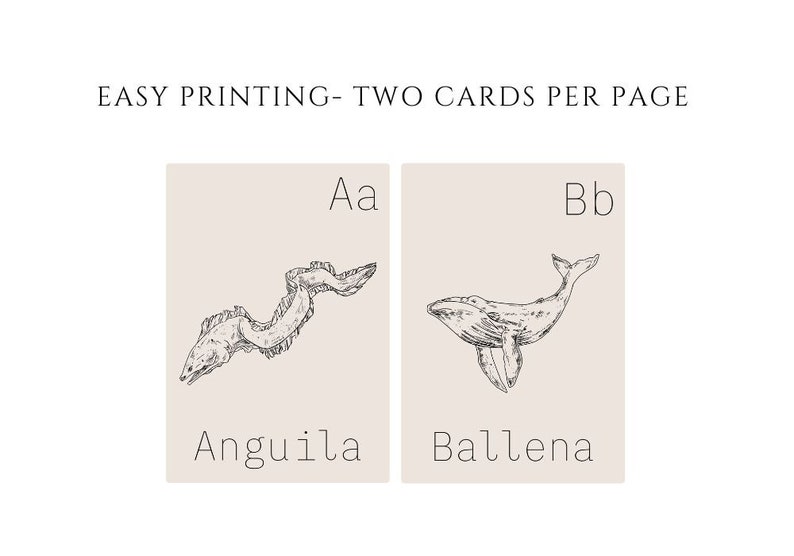Spanish alphabet flash cards letter learning homeschool learning