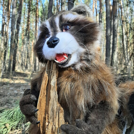 reversible raccoon plush