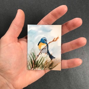 Oostelijke Sialia Koelkastmagneet | Kleurrijk aquarel natuur schilderij