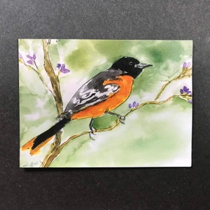 Oriole vogel koelkastmagneet | Kleurrijk aquarel