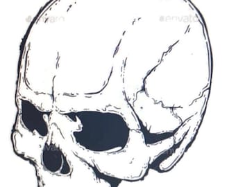 May include: A black and white line art illustration of a human skull shown from a three-quarter angle. The drawing features bold outlines, detailed shading lines along the cranium and jaw, and deep black voids for the eye sockets and nasal cavity.