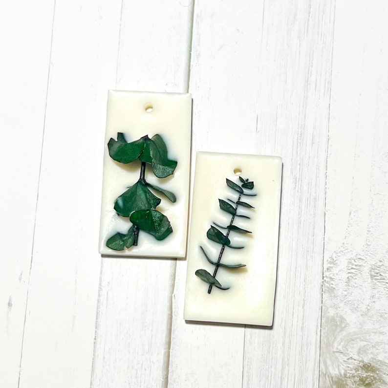 Eucalyptus Scented Wax Sachet Hanging Soy Wax Air Freshener - Etsy