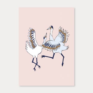 Kraanvogels, A5