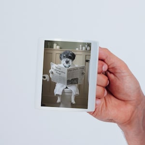 May include: A white ceramic mug featuring a printed image of a black and white dog wearing a white bathrobe whilst sitting on a toilet and reading a newspaper with the headline Most Hyperactive Dog and the title The Daily Dog printed on the front.