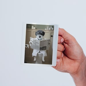 Custom Pet Portrait on Toilet with Newspaper | Unique Pet Gift | Fun Bathroom Print | Dog on Toilet | Personalised Pet Wall Art from Photo image 8