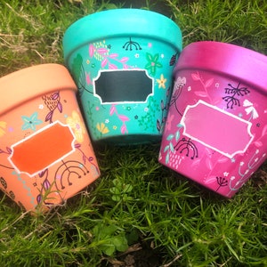 Hand painted plant pots