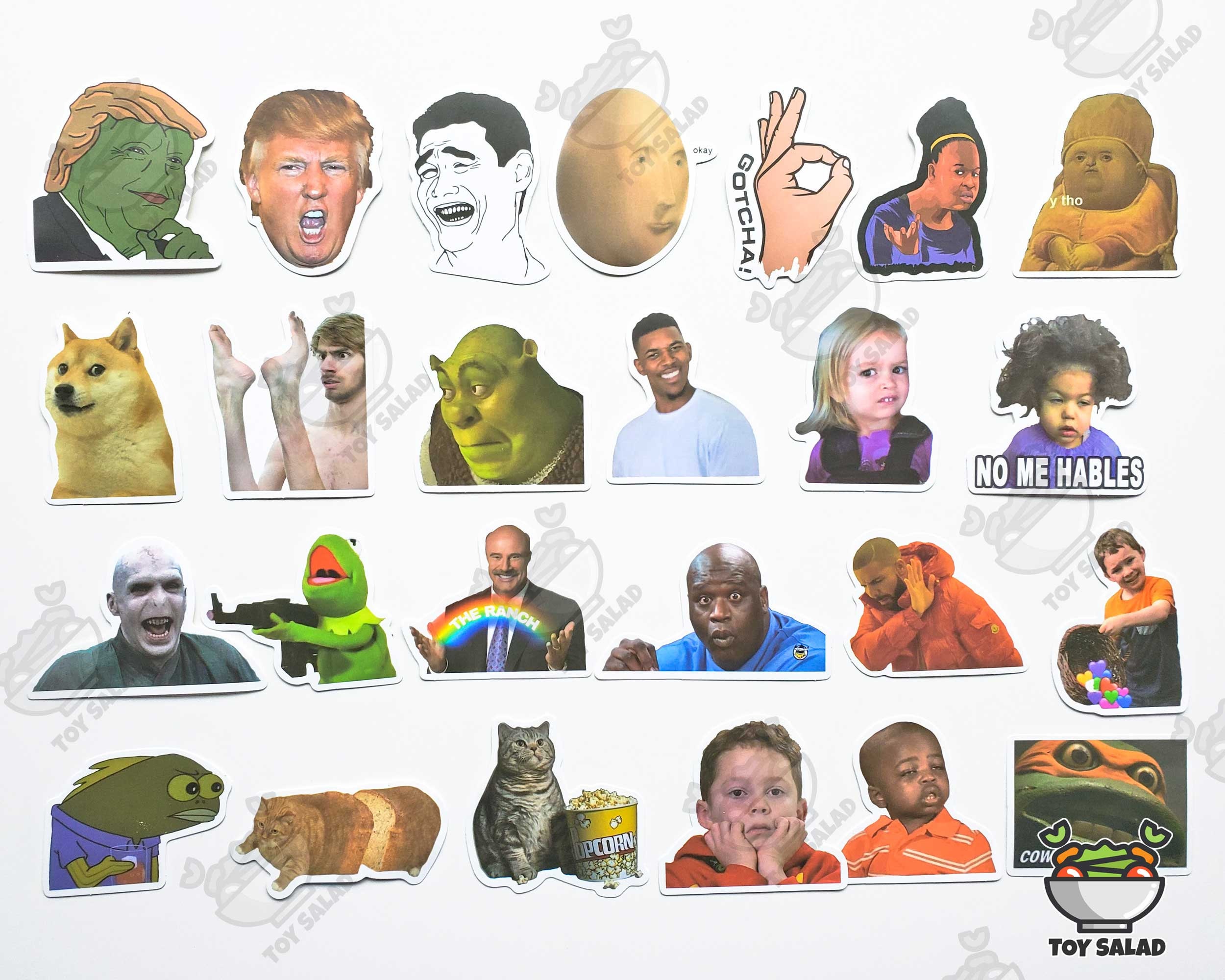 50 Pcs meme Sticker Pack Gift for Her Etsy