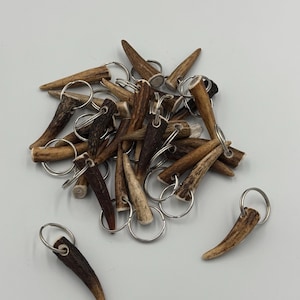 May include: A pile of small antler keyrings. Each keyring is made from a section of deer antler, with a silver-coloured metal ring attached. The antlers range in colour from light tan to dark brown.