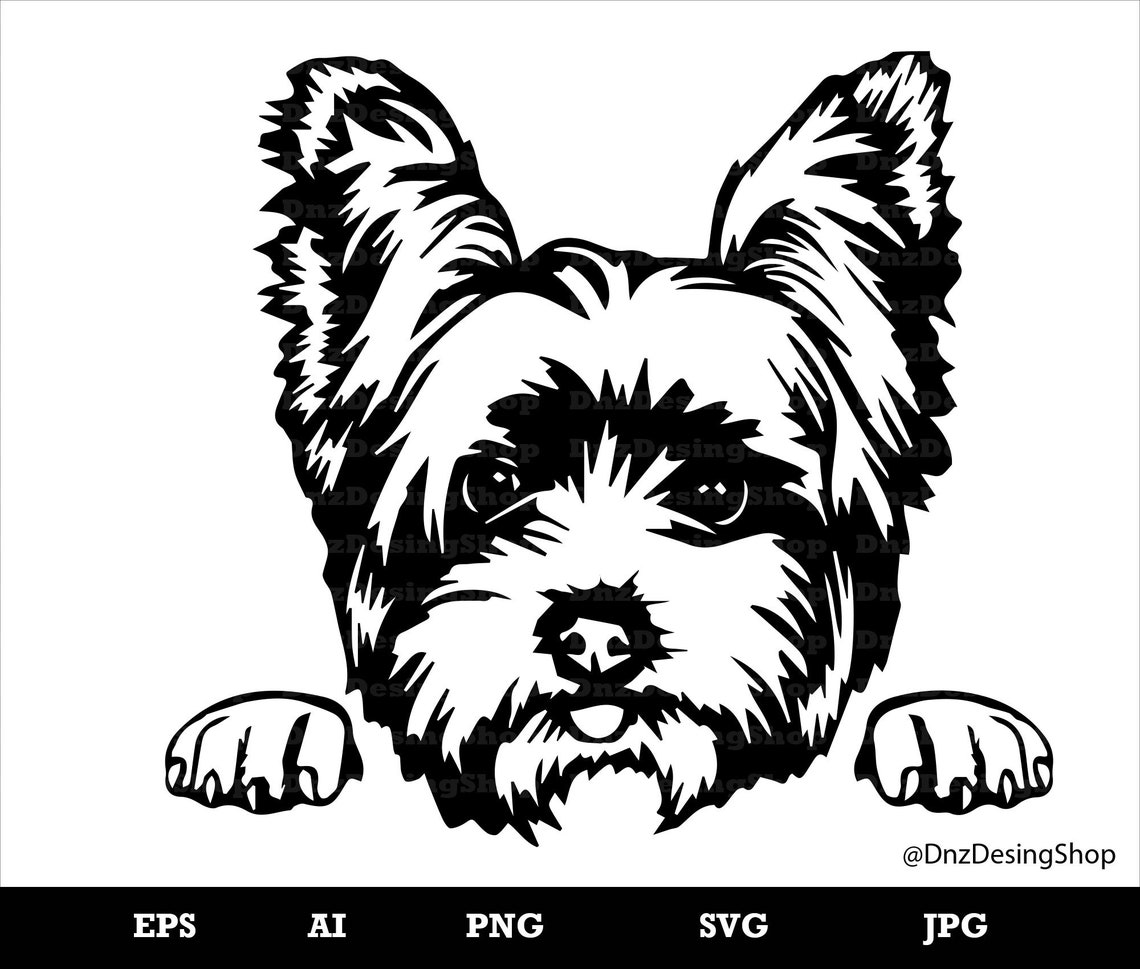 Yorkshire Terrier Svg Yorkie Face Clipartdog Svg Cricut Etsy