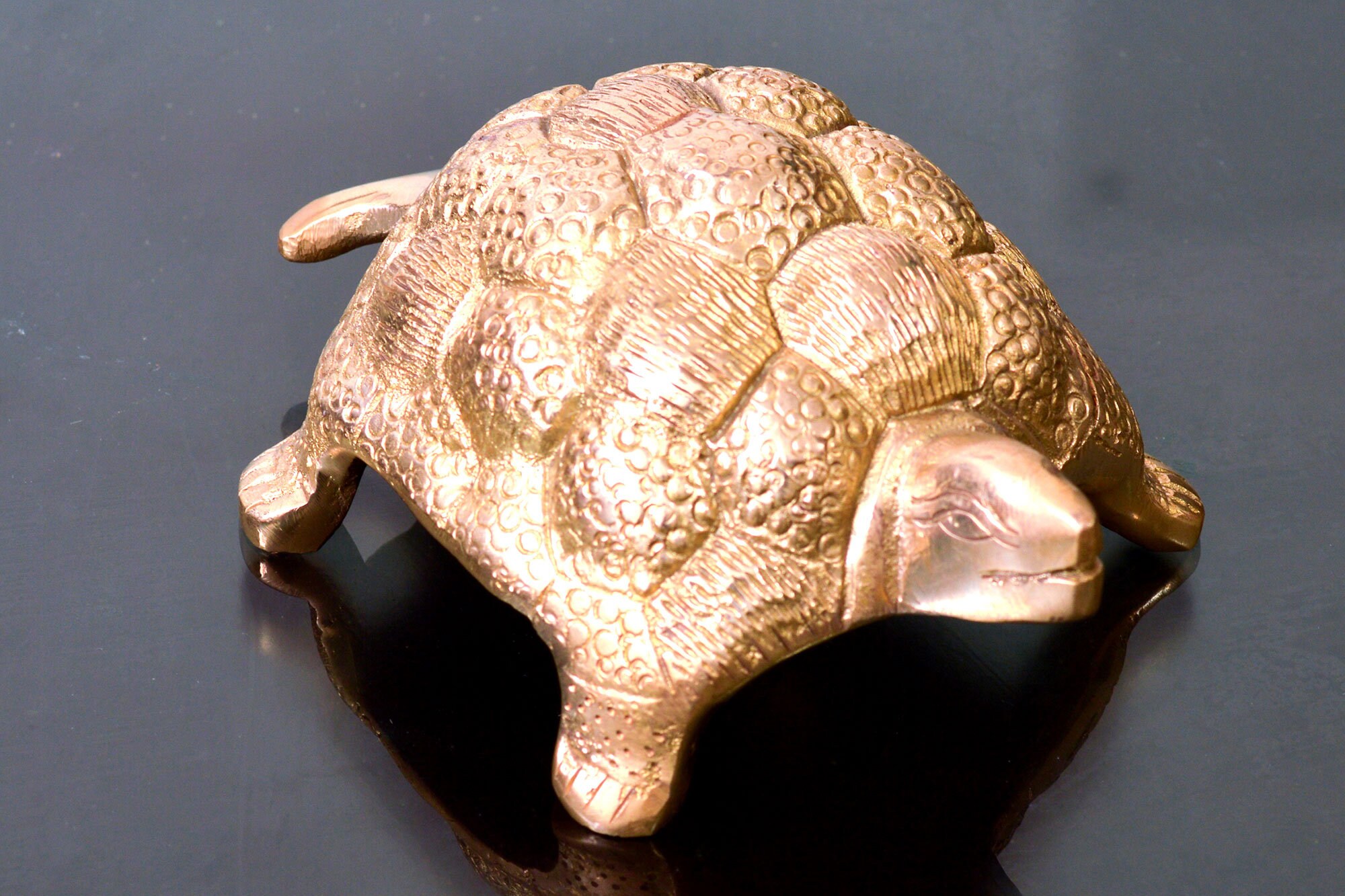 Buy Vastu Tortoise for Good Luck | Pure Brass Turtle | Best Diwali Gift |  Pital nirmit kachua (Multicolour) | Feng Shui Tortoise | Good Luck  Auspicious Tortoise Online at Low Prices in India - Amazon.in