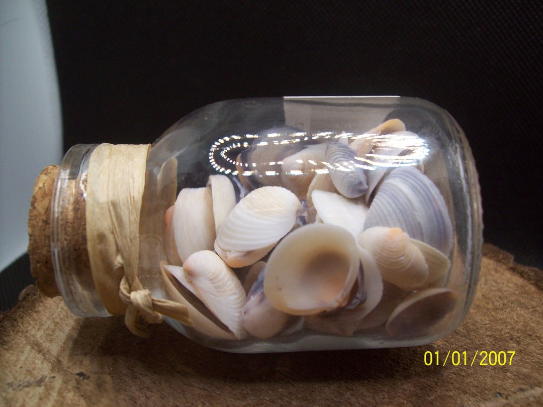 Glass Bottle of Sea Shells - Etsy