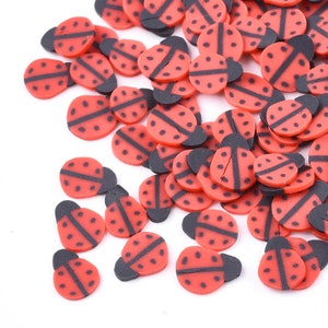 Pâte polymère « Coccinelles »